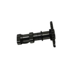 BAJAJ DOMİNAR D 250 EKSANTRİK MİLİ EMME
